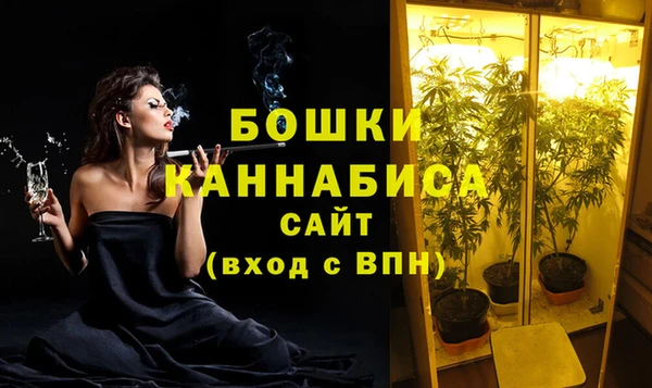 индика Навашино