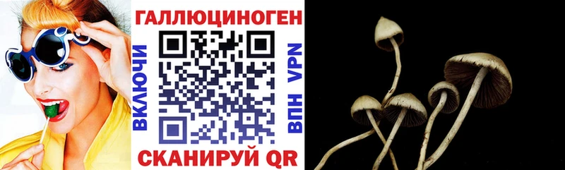 купить наркоту  Болхов  OMG вход  Галлюциногенные грибы прущие грибы 